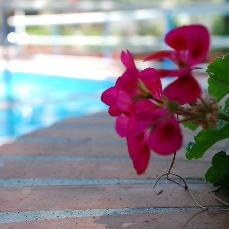 Hotel La Villa ミステルビアンコ エクステリア 写真